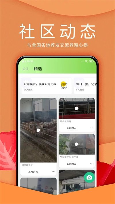 羊小宝app