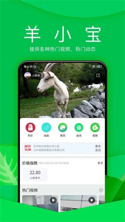 羊小宝app