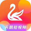 天鹅短视频安卓版app